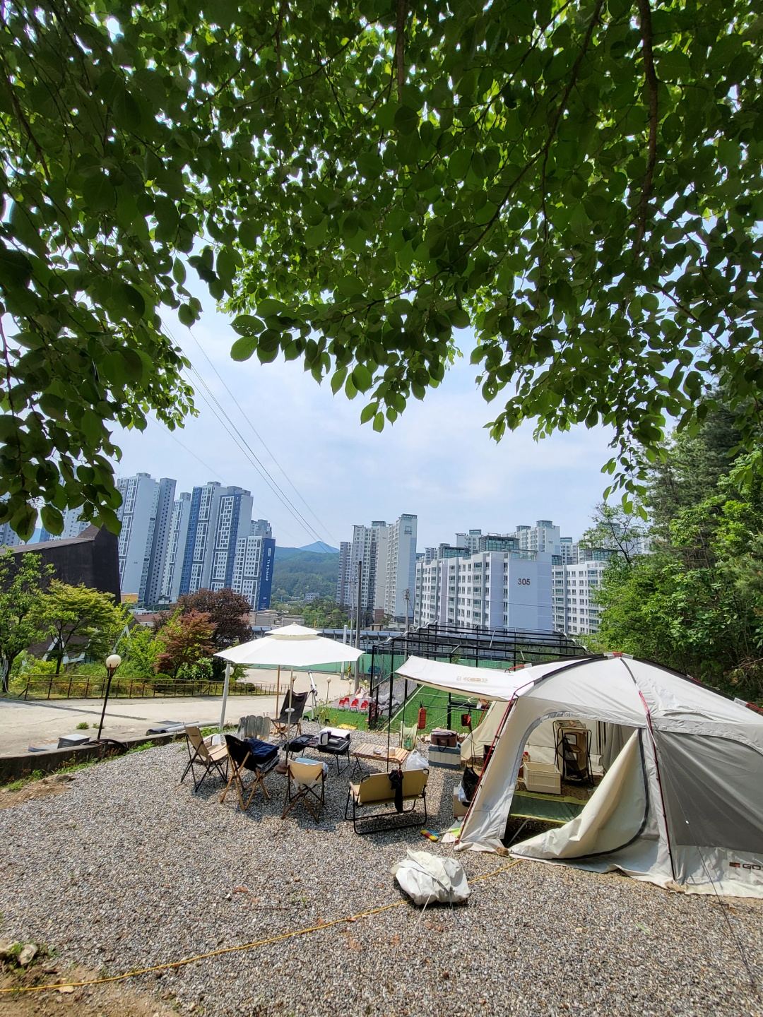 TREE FRIENDS CAMPING (IN FOREST STAY) 사진 2